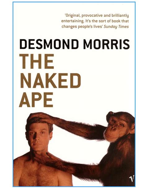 naked chimpanzee|The Naked Ape; a Zoologists Study of the Human Animal